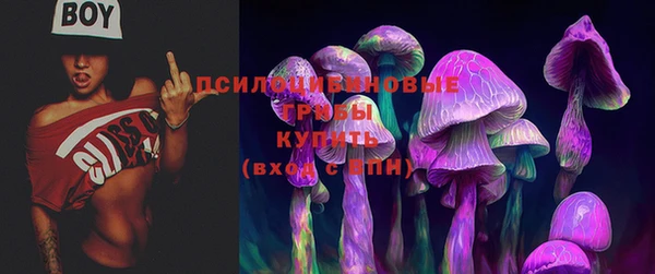 первитин Абинск