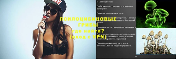mdpv Алзамай