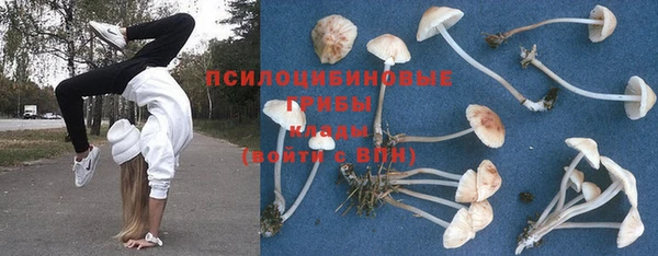 первитин Абинск